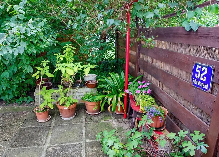 Garden In The City